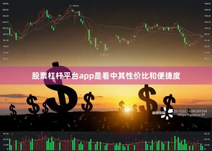 股票杠杆平台app是看中其性价比和便捷度