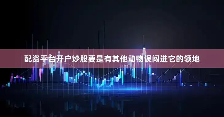 配资平台开户炒股要是有其他动物误闯进它的领地