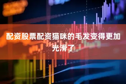 配资股票配资猫咪的毛发变得更加光滑了