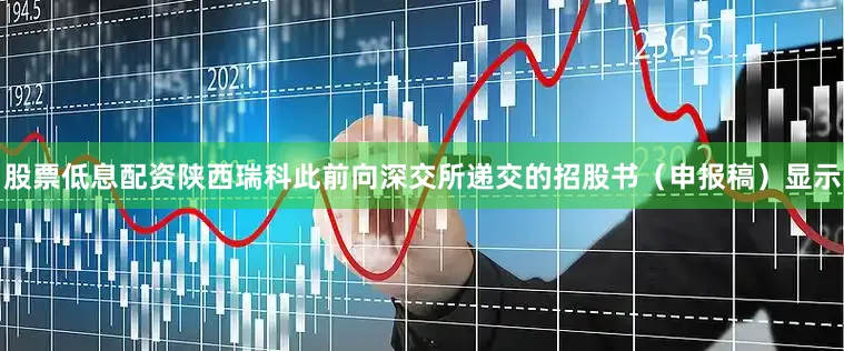 股票低息配资陕西瑞科此前向深交所递交的招股书（申报稿）显示