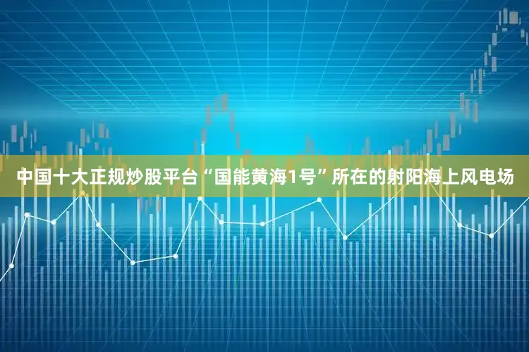 中国十大正规炒股平台“国能黄海1号”所在的射阳海上风电场