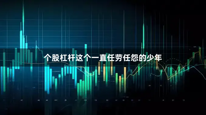 个股杠杆这个一直任劳任怨的少年
