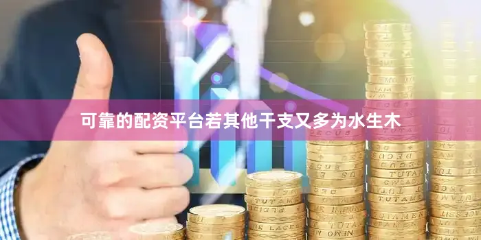 可靠的配资平台若其他干支又多为水生木